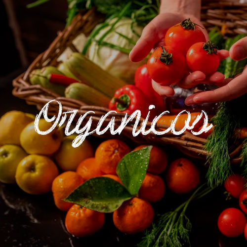 frutas y verduras organicos