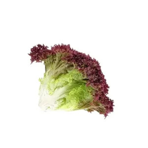 Lechuga Crespa Morada